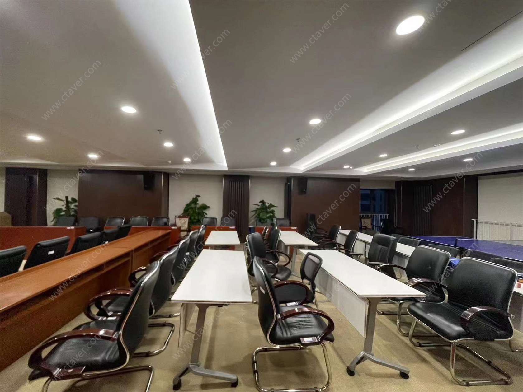 国药局会议室案例图4.jpg